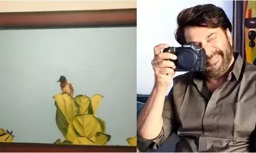 മമ്മൂട്ടി എടുത്ത ബുൾബുൾ ചിത്രം ലേലത്തിന് മമ്മൂട്ടി എടുത്ത ബുൾബുൾ ചിത്രം ലേലത്തിന്