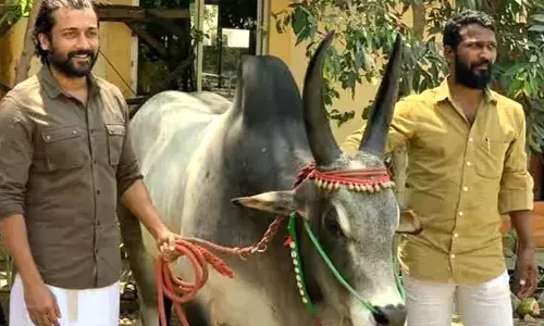 വാടിവാസല്‍ ഉപേക്ഷിച്ചിട്ടില്ല: പുതിയ അപ്ഡേറ്റുമായി വെട്രിമാരൻ