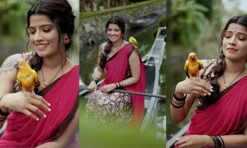 ദാവണിയുടുത്ത് സുന്ദരിയായി അമൃത സുരേഷ്; പാട്ടും വിഡിയോയും സൂപ്പറെന്ന് ആരാധകർ