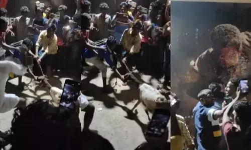 അതിരുകടന്ന് ദേവവര ആഘോഷങ്ങൾ.... അതിരുകടന്ന് ദേവവര ആഘോഷങ്ങൾ....