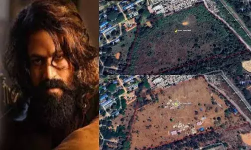 മരം മുറി വിവാദത്തിൽപ്പെട്ട്  കന്നഡ താരം യാഷിന്റെ ചിത്രം ടോക്സിക്  മരം മുറി വിവാദത്തിൽപ്പെട്ട്  കന്നഡ താരം യാഷിന്റെ ചിത്രം ടോക്സിക്