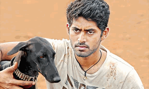 പരിയേറും പെരുമാളിലെ കറുപ്പിക്ക് ദാരുണാന്ത്യം പരിയേറും പെരുമാളിലെ കറുപ്പിക്ക് ദാരുണാന്ത്യം