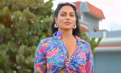  സിൽക്ക് സ്മിത - ക്വീൻ ഓഫ് ദ സൗത്ത്  -സിൽക്ക് സ്മിതയുടെ ബയോപിക് എത്തുന്നു...