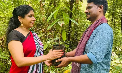 പച്ചപ്പ് ഫസ്റ്റ് ക്ലാപ്പ് മൂവീസ് ചാനലിൽ പച്ചപ്പ് ഫസ്റ്റ് ക്ലാപ്പ് മൂവീസ് ചാനലിൽ