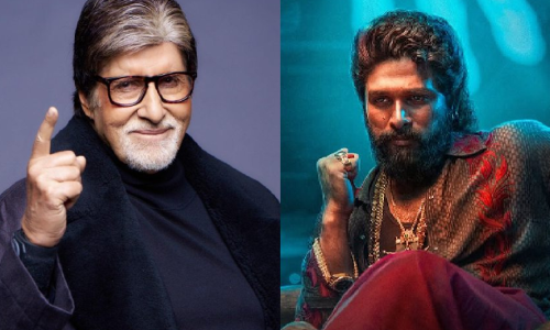 എന്നെയും അല്ലു അർജുനെയും തമ്മിൽ താരതമ്യം ചെയ്യരുത് : അമിതാബ് ബച്ചൻ