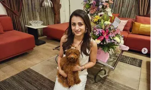 ഇതിൽക്കൂടുതൽ ചോദിക്കാനില്ല” 42 ആം ജന്മദിനം ആഘോഷമാക്കി തൃഷ കൃഷ്ണൻ