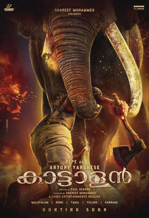 തായ്ലന്‍ഡില്‍ നടക്കുന്ന കാട്ടാളന്‍ സിനിമയുടെ ഷൂട്ടിനിടയില്‍ ആന്റണി വര്‍ഗ്ഗീസിന് പരിക്ക്