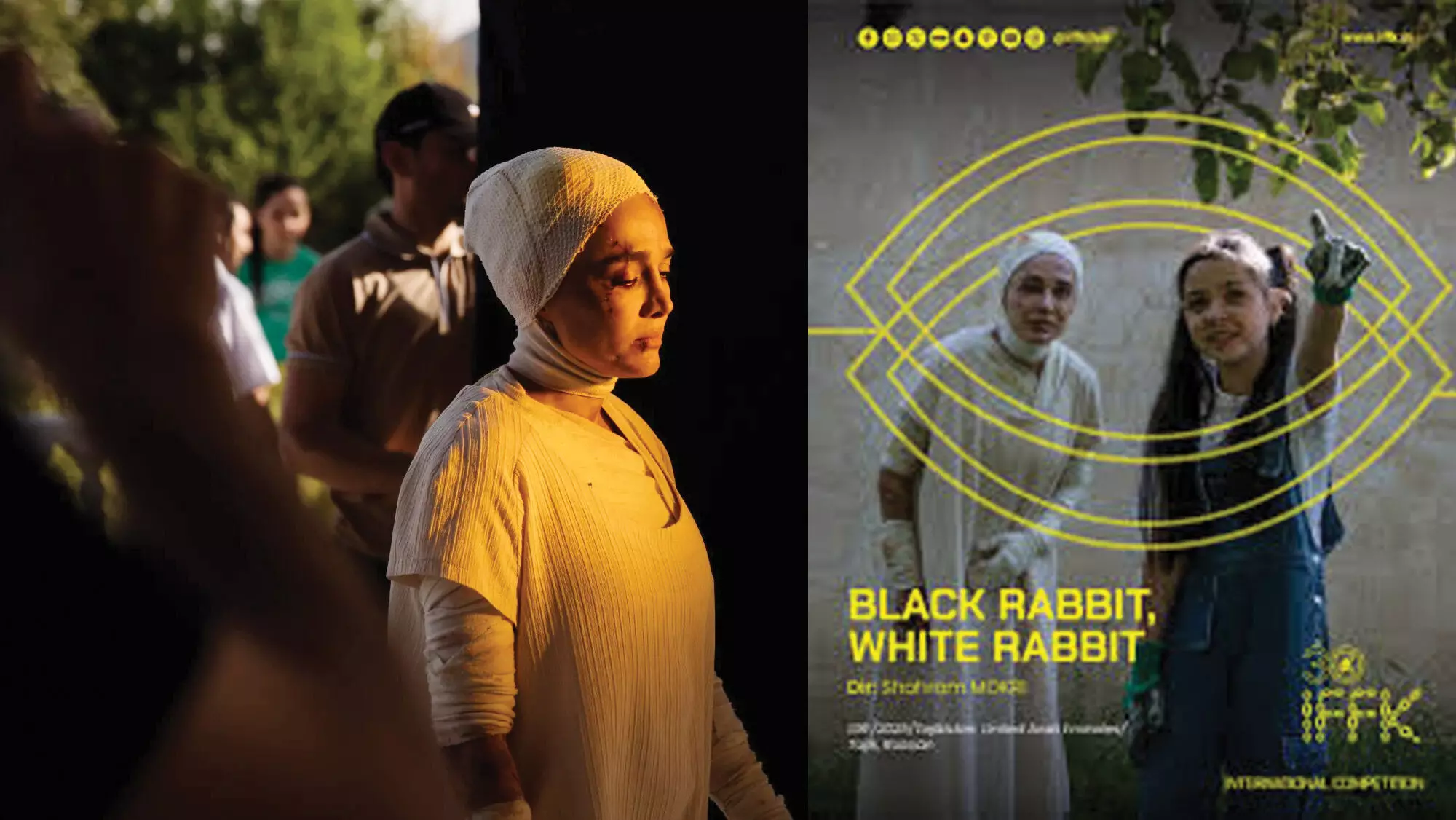 അടരുകളിലൂടെ അതിരുകള് കടക്കുന്ന മുയലുകള് അടരുകളിലൂടെ അതിരുകള് കടക്കുന്ന മുയലുകള്