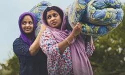 ഒടിടി യിൽ ഇഴഞ്ഞു നീങ്ങി ഫെമിനിച്ചി ഫാത്തിമ ഒടിടി യിൽ ഇഴഞ്ഞു നീങ്ങി ഫെമിനിച്ചി ഫാത്തിമ