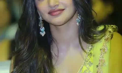 ഇരുപത്തി നാലാമത്തെ വയസ്സിൽ 3 കുട്ടികളുടെ അമ്മയായ തെന്നിന്ത്യൻ സുന്ദരി ശ്രീ ലീല