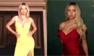 അടിവസ്ത്രം ധരിച്ചു പൊതു സ്ഥലത്ത് പ്രേമോഷൻ നടത്തിയ സ്വീഡ്നി സ്വീനിക്കെതിരെ വലിയ വിമർശനം അടിവസ്ത്രം ധരിച്ചു പൊതു സ്ഥലത്ത് പ്രേമോഷൻ നടത്തിയ സ്വീഡ്നി സ്വീനിക്കെതിരെ വലിയ വിമർശനം